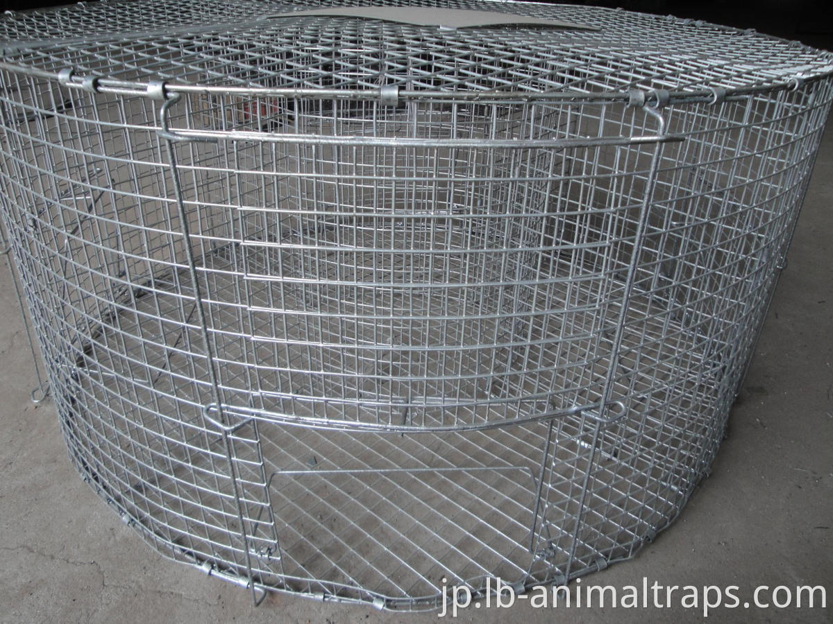 Live Animals Trap